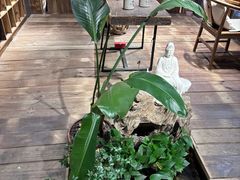 -邈墨茶馆(大兜路1号店)