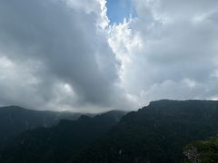 -牛背梁国家森林公园