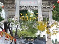 -大槐树寻根祭祖园