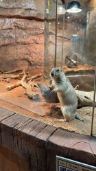 -Zoolung Zoolung动物主题公园(海信广场店)