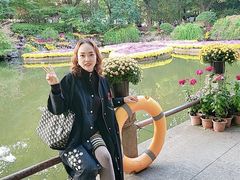 -汇龙潭