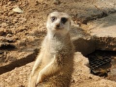 -石家庄市动物园