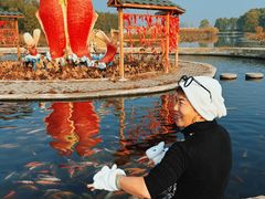 -白洋淀景区