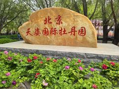 -太阳宫公园