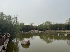 -中国翰园碑林