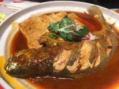 大黄鱼炖豆腐-西贝莜面村(当代商城店)