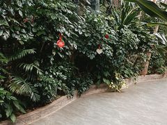 -滕头生态酒店(奉化店)