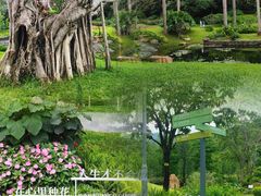 -云溪植物园