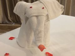 iphone_upload_pic-绍兴中金豪庭大酒店