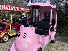 -上海海湾国家森林公园