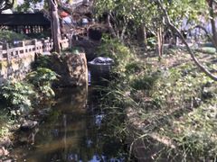 -上海醉白池公园