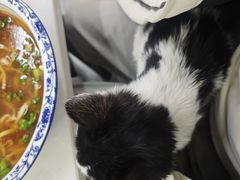 -孙记大碗皮肚面(后宰门店)