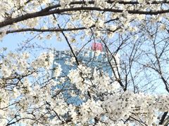 -西北湖绿化广场