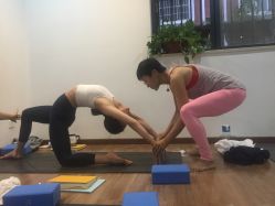 -兴亚瑜伽20年老馆