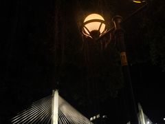 -珠江夜游省总码头