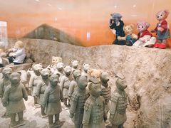 -济州岛泰迪熊博物馆