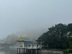 -庐山风景区花径公园