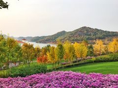 -望湖烤鱼