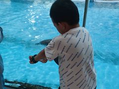 -帝企鹅自助餐厅•儿童岛•真企鹅(长隆企鹅酒店)