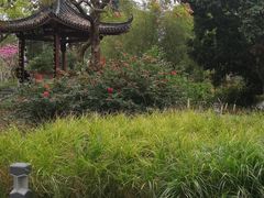 -四海公园(南山区)