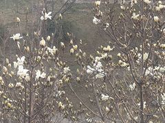 -山与蓝·轻糖鲜果蛋糕(勒泰店)