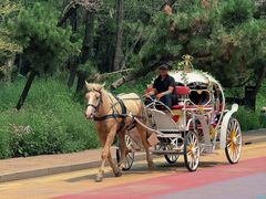 -南戴河国际娱乐中心