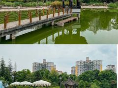 -云南荟·湖畔领宴(领事馆店)