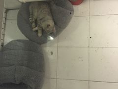 -娜娜家•Nana’Garden (福州道店)