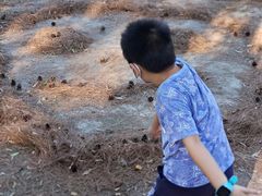 -綦江古剑山