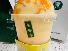 -茉酸奶(春熙路店)