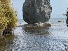 -洱海月湿地公园