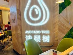 -油梨树AVOCADO TREE(嘉里中心店)