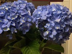 -心足私家足疗SPA(海岸城店)