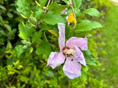 -昆山城市生态森林公园