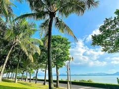 -深圳湾公园(南山区)