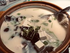 千岛湖鱼头-姜君·千岛湖鱼头馆(浦东大道店)