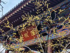-华清宫景区