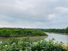 -东寨港红树林旅游区