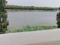 -素心小筑(后沙裕镇店)