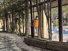 -张家港金凤凰度假村温泉