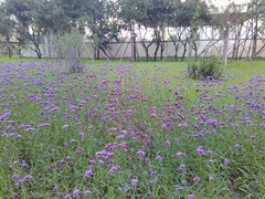 android_upload_pic-长春公园(普阳街道)