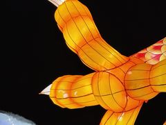 -什刹海