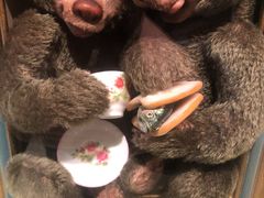 -济州岛泰迪熊博物馆