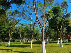 -火炉山森林公园