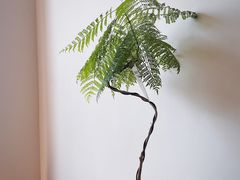 -PANDA QUEEN熊猫女王(成都店)