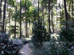 -广州市帽峰山景区