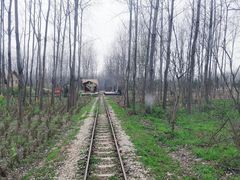 -合肥滨湖国家森林公园