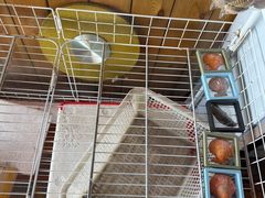 -蓝湾碧波·老字号·疍家非遗海上餐厅