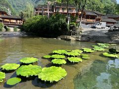-矮寨·十八洞·德夯大峡谷景区