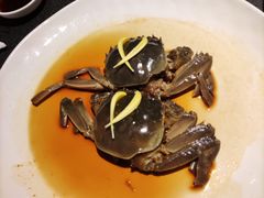 醉蟹-成隆行·蟹王府(九江路店)